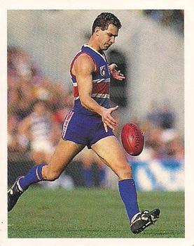 1993 Select AFL Stickers #110 Steven Wallis Front
